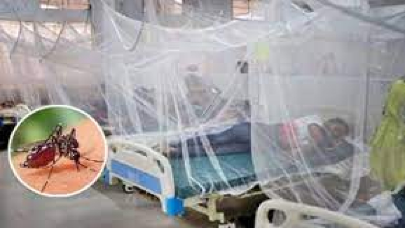 আবারও ডেঙ্গুতে মৃত্যুর রেকর্ড