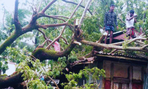 ভোলায় ঘূর্ণিঝড় মিধিলির তাণ্ডব; কয়েক শতাধিক ঘর-বাড়ি ক্ষতিগ্রস্ত