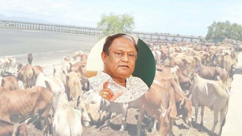 গরুর মাংস