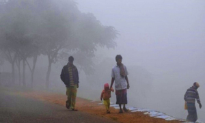 কেমন হবে এবারের শীতকাল- যা জানাল আবহাওয়াবিদরা