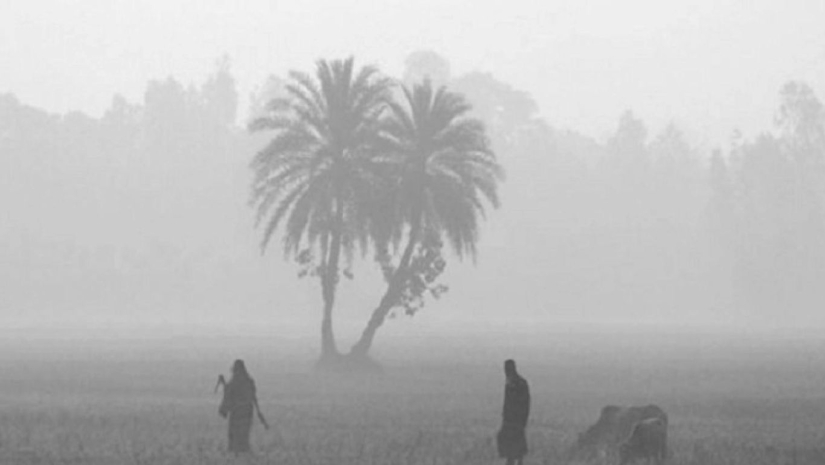 শীত