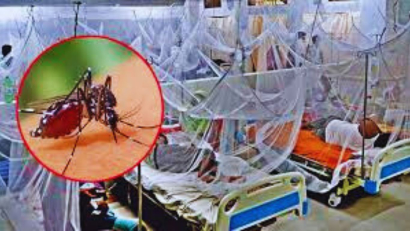 ডেঙ্গু