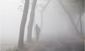 আগামী ৭২ ঘণ্টা যেমন থাকবে দেশের আবহাওয়া 