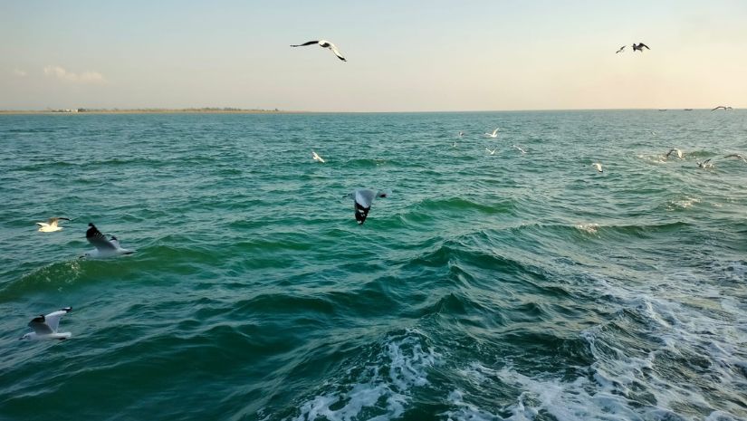 ভ্রমণ