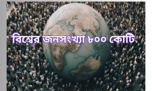 নতুন বছরে বিশ্বের জনসংখ্যা ৮০০ কোটি ছাড়াবে 