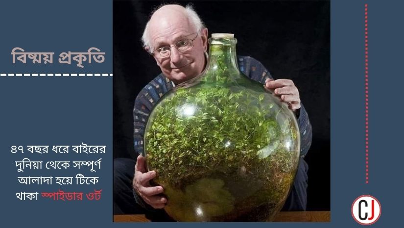 প্রকৃতির কত বিষ্ময়!