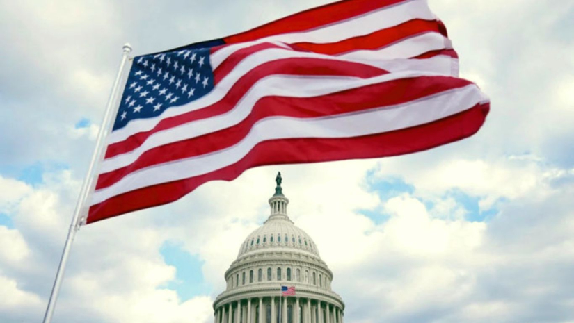 নির্বাচন