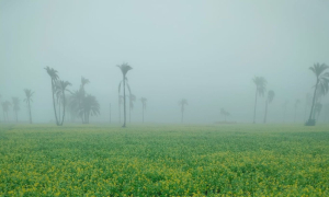 আরও যতদিন শীতের তীব্রতা থাকতে পারে