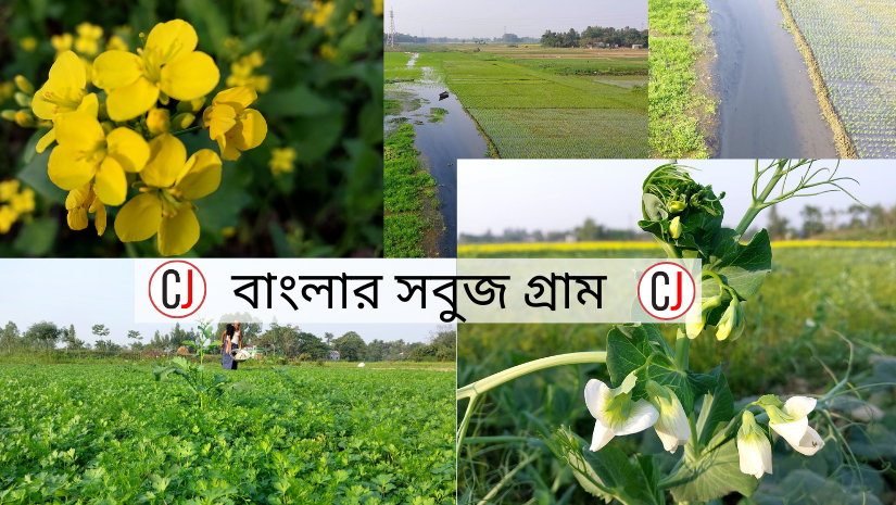 প্রকৃতি