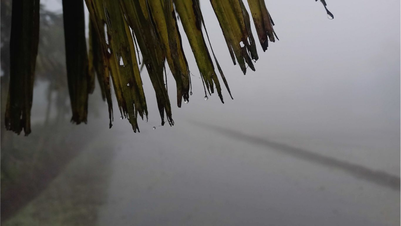 শীত