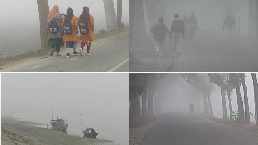 শীত