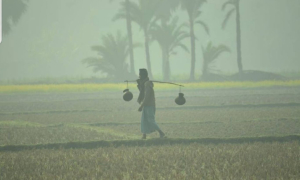 শীত নিয়ে সুসংবাদ দিলো আবহাওয়া অধিদপ্তর