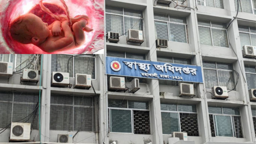 মাতৃগর্ভ