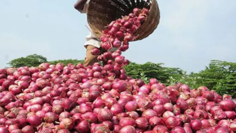 পেঁয়াজ