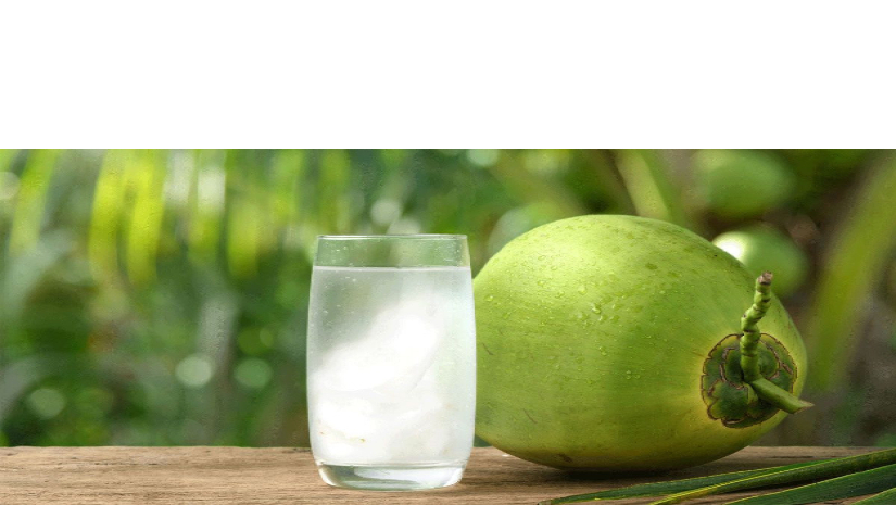 ডাবের পানি