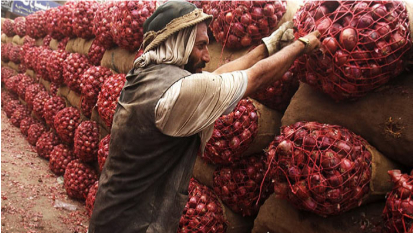 পেঁয়াজ