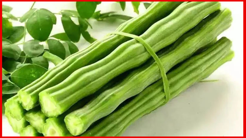 শরীরে রোগ প্রতিরোধ ক্ষমতা বাড়াবে সজনে ডাঁটা