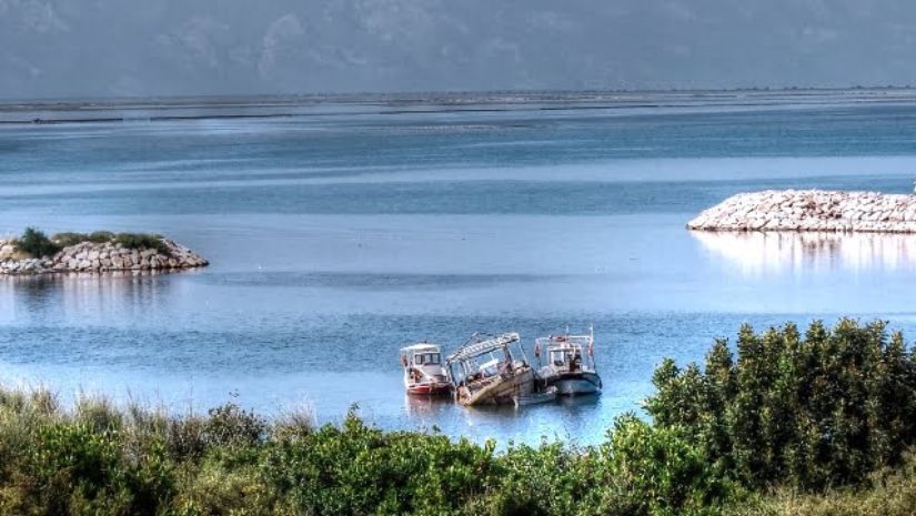 অভিবাসী