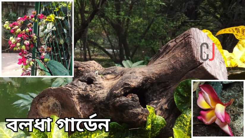 প্রকৃতি