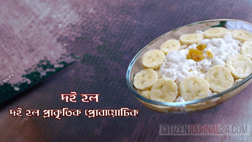 দই হল প্রাকৃতিক প্রোবায়োটিক