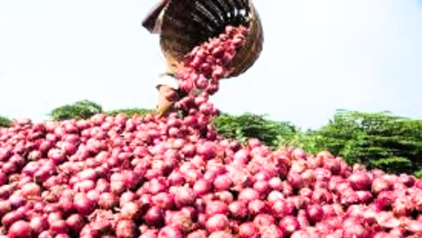 পেঁয়াজ