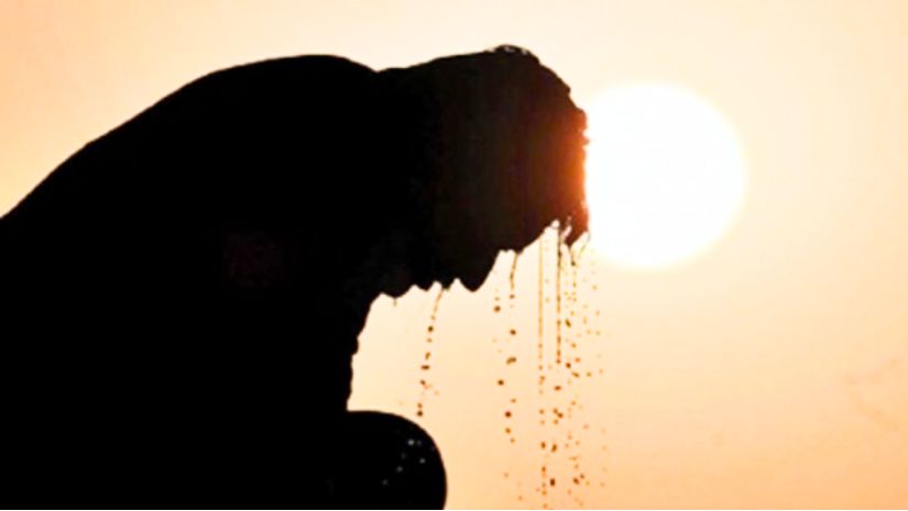 তাপ