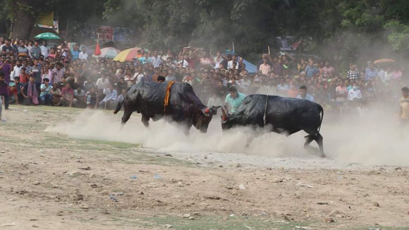 সুলতান
