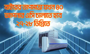 জানেন কি আপনার এসির তাপমাত্রা কত রাখা উচিত?