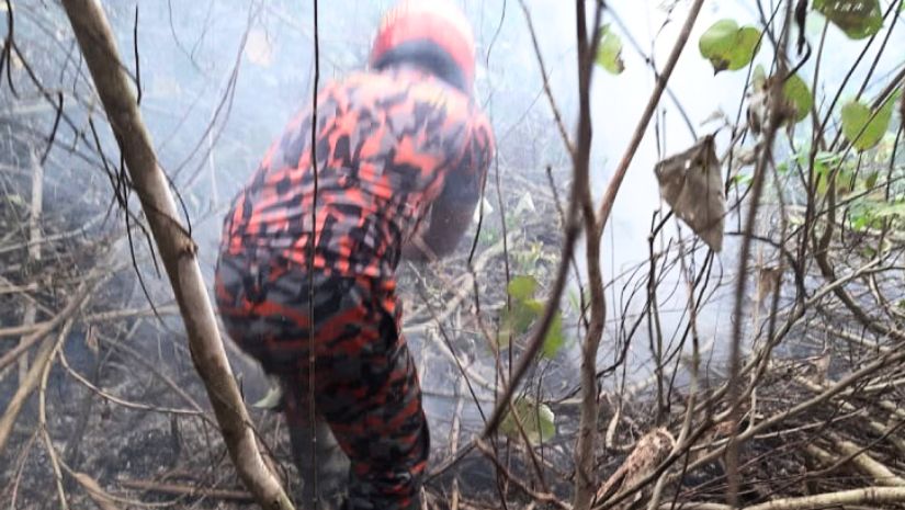 সুন্দরবন