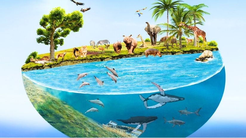 জীববৈচিত্র