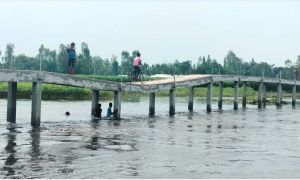 কাজ শেষ হওয়ার আগেই দেবে গেলো ব্রিজ; ঝুঁকি নিয়ে পারাপার