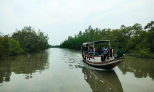 আজ থেকে সুন্দরবন প্রবেশে নিষেধাজ্ঞা