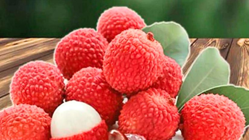 লিচু