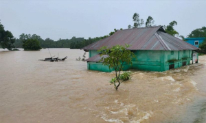 বন্যায় প্রতিবছর বাংলাদেশের ক্ষতি প্রায় ১ বিলিয়ন ডলার