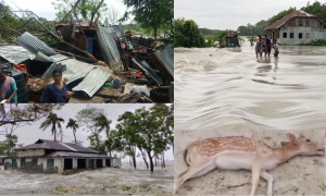 ঘূর্ণিঝড় রেমালে ২০ জেলায় ক্ষতি প্রায় ৭ হাজার কোটি টাকা