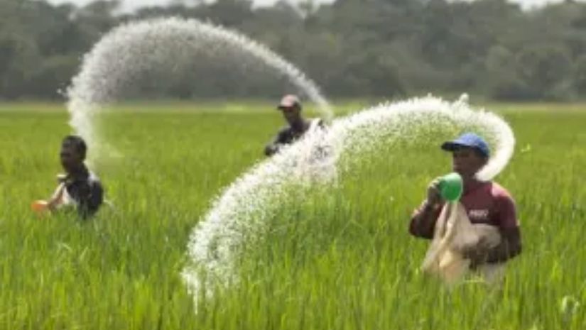 সার