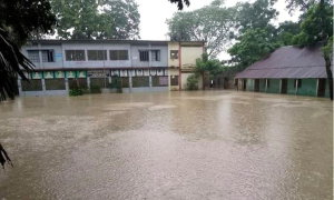 টানা বৃষ্টিতে জলাবদ্ধতা; নোয়াখালিতে বন্ধ সব শিক্ষাপ্রতিষ্ঠান