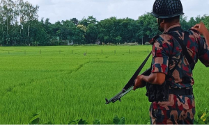 শূন্য রেখা বরাবর কাঁটাতারের বেড়া দেওয়ার চেষ্টা বিএসএফের; বিজিবির বাঁধা