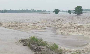 পূর্বাঞ্চলের পর এবার পাইকগাছায় বাঁধ ভেঙে ১৩ গ্রাম প্লাবিত