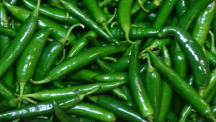কাঁচামরিচ