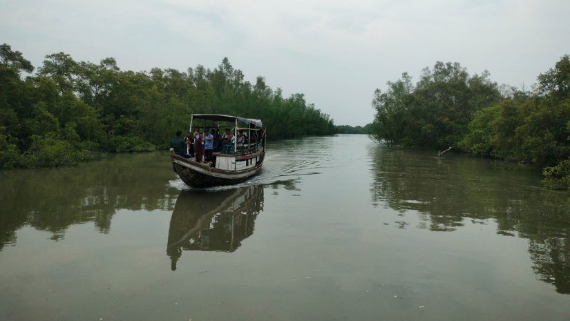 সুন্দরবন