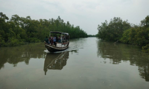 টানা ৩ মাস পর পর্যটকদের জন্য খুলছে সুন্দরবন