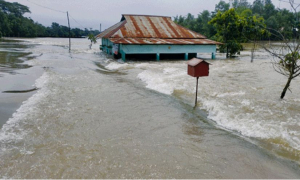 ভারী বর্ষণের পূর্বাভাস; দেশের ৮ জেলায় ফের বন্যার শঙ্কা