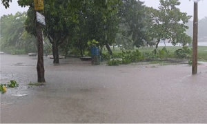 যেদিন থেকে কমতে পারে বৃষ্টি; জানালো আবহাওয়া অফিস