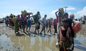 নতুন করে ঢুকে পড়েছে ৮ হাজার রোহিঙ্গা