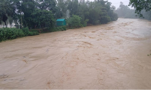 শেরপুরে বন্যায় নিহত বেড়ে ৭