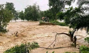 শেরপুরে বন্যা পরিস্থিতি কিছুটা উন্নতি; মৃত্যু বেড়ে ৮