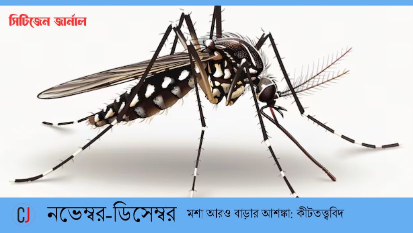 নভেম্বর-ডিসেম্বর মশার প্রকোপ বাড়ার আশঙ্কা: কীটতত্ত্ববিদ