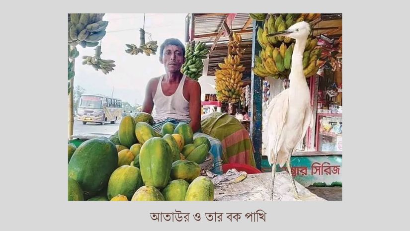 পাখিদেরও আছে মন