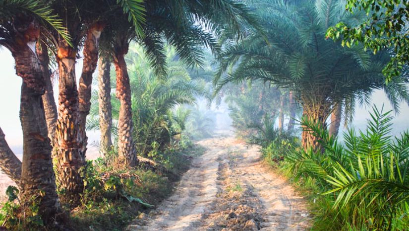 পঞ্চগড়